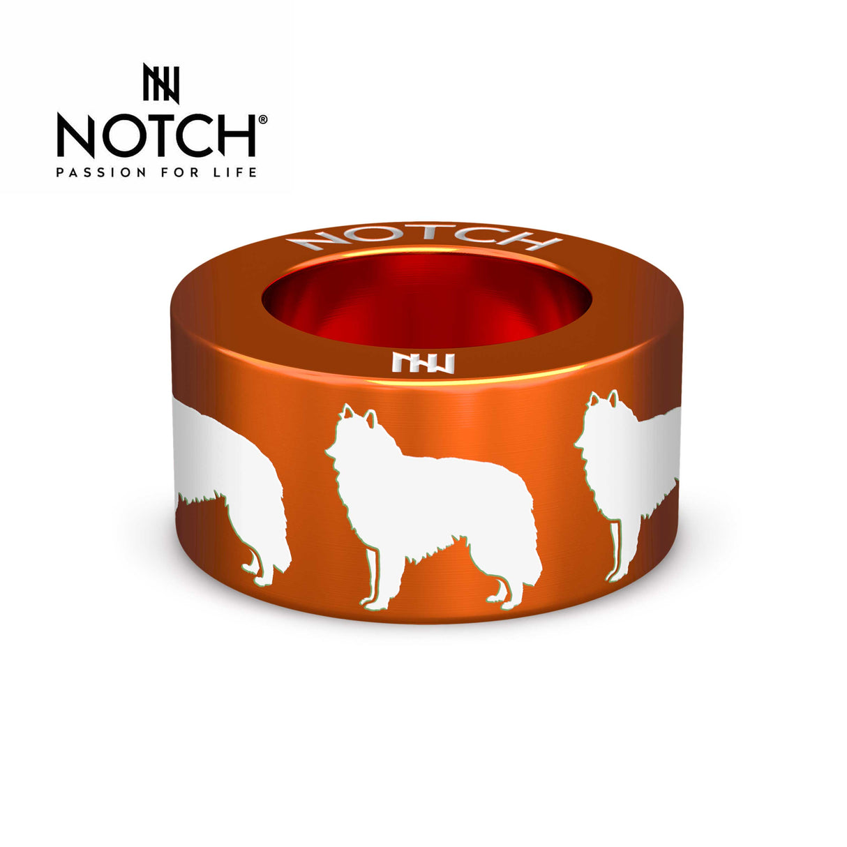 Belgian Shepherd Dog (Groenendael) NOTCH Charm