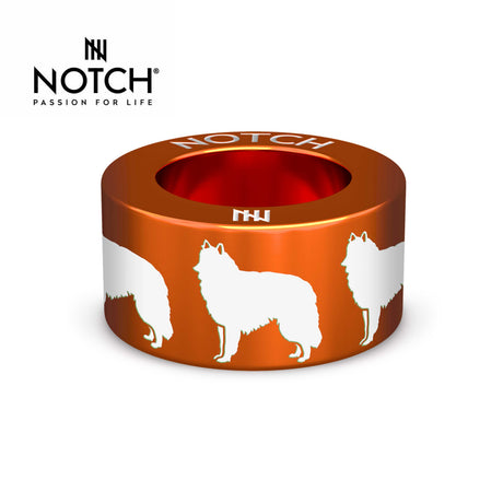 Belgian Shepherd Dog (Groenendael) NOTCH Charm