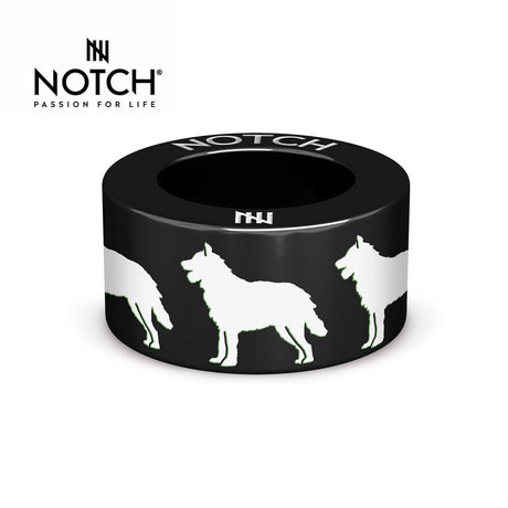 Belgian Shepherd Dog (Laekenois) NOTCH Charm