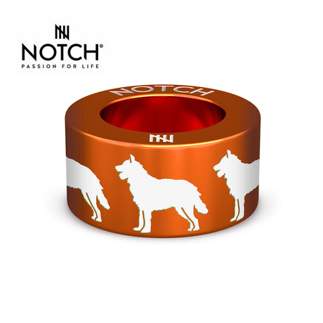 Belgian Shepherd Dog (Laekenois) NOTCH Charm