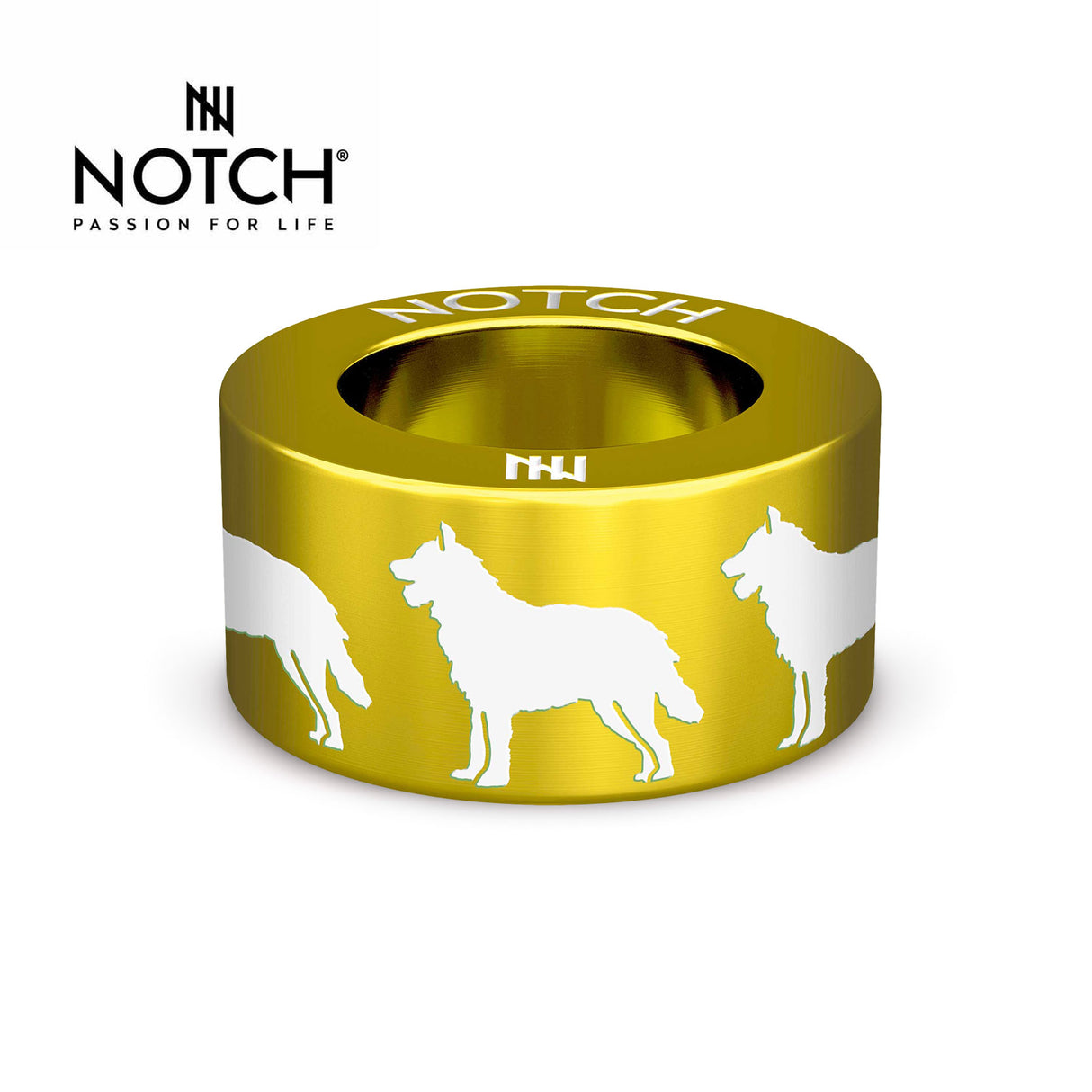 Belgian Shepherd Dog (Laekenois) NOTCH Charm