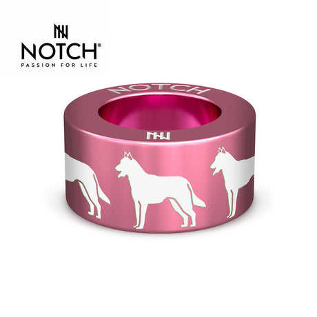 Belgian Shepherd Dog (Malinois) NOTCH Charm