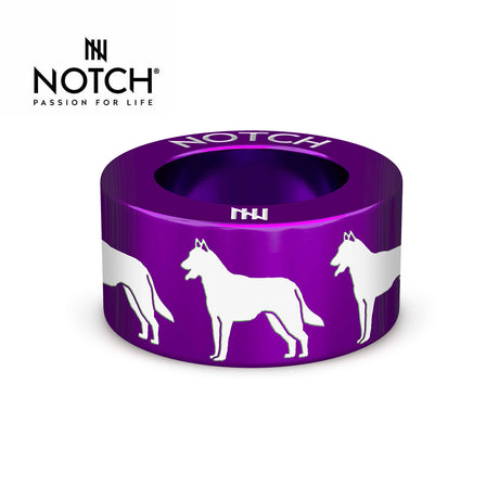 Belgian Shepherd Dog (Malinois) NOTCH Charm