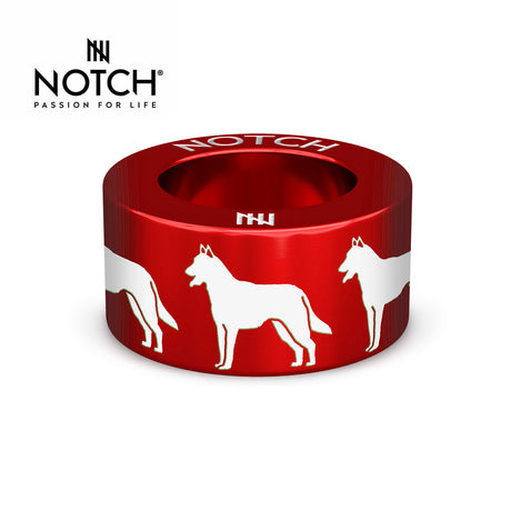 Belgian Shepherd Dog (Malinois) NOTCH Charm