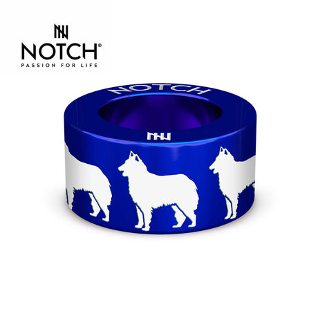 Belgian Shepherd Dog (Tervueren) NOTCH Charm