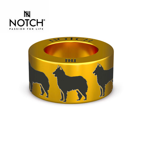 Belgian Shepherd Dog (Tervueren) NOTCH Charm