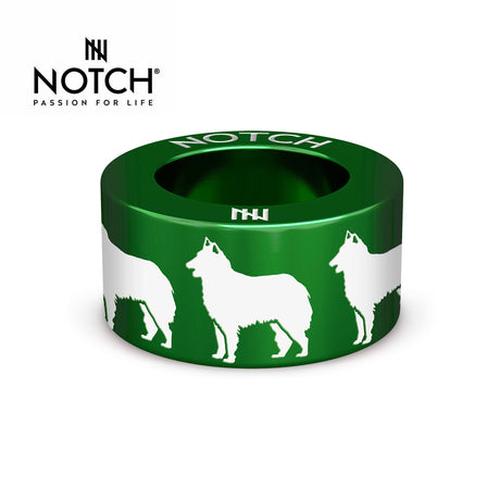 Belgian Shepherd Dog (Tervueren) NOTCH Charm