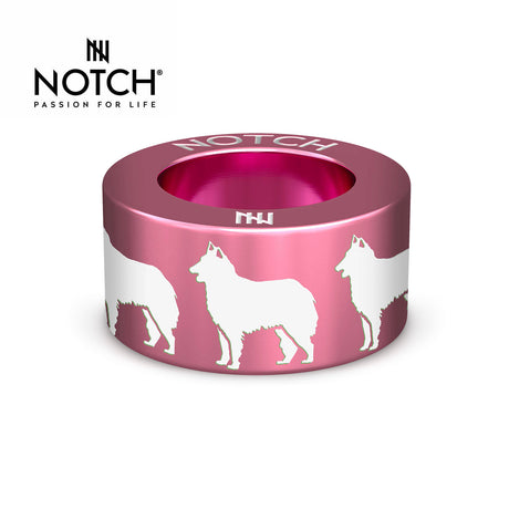 Belgian Shepherd Dog (Tervueren) NOTCH Charm