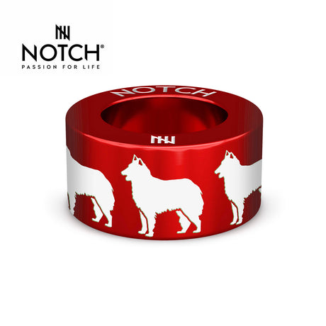 Belgian Shepherd Dog (Tervueren) NOTCH Charm