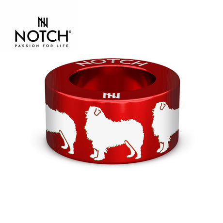 Bernese Mountain Dog NOTCH Charm