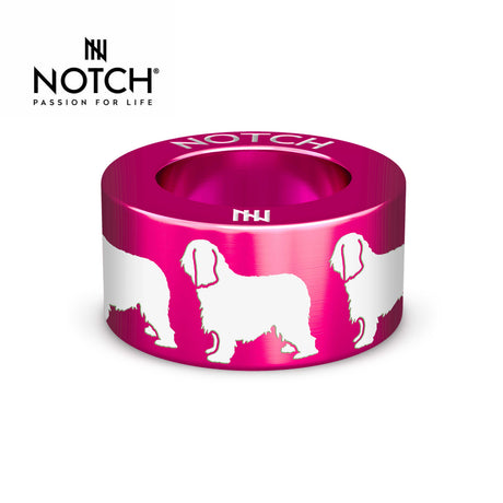 Briard NOTCH Charm