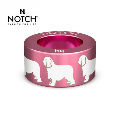 Briard NOTCH Charm