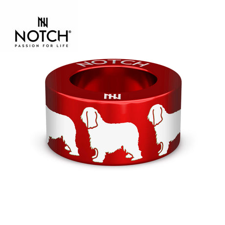 Briard NOTCH Charm