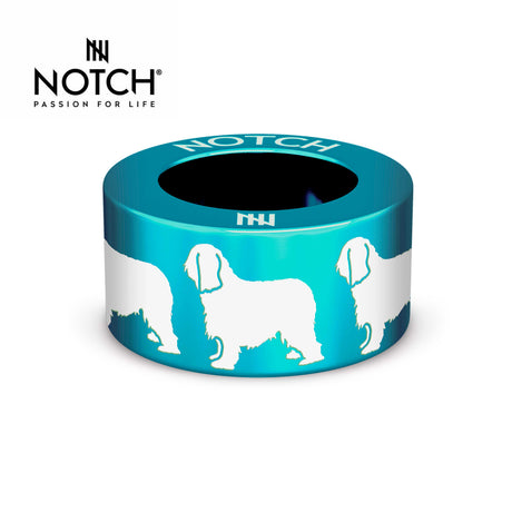 Briard NOTCH Charm