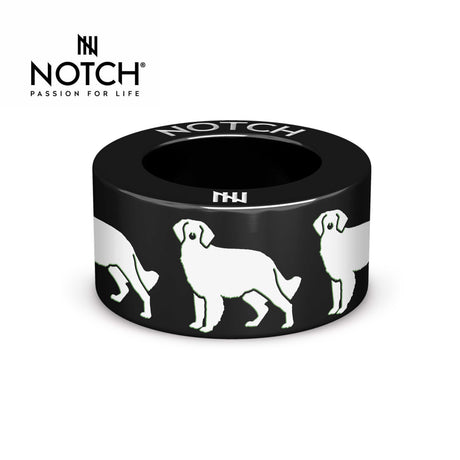 Brittany (spaniel) NOTCH Charm