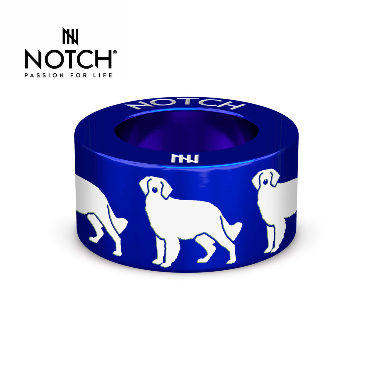 Brittany (spaniel) NOTCH Charm