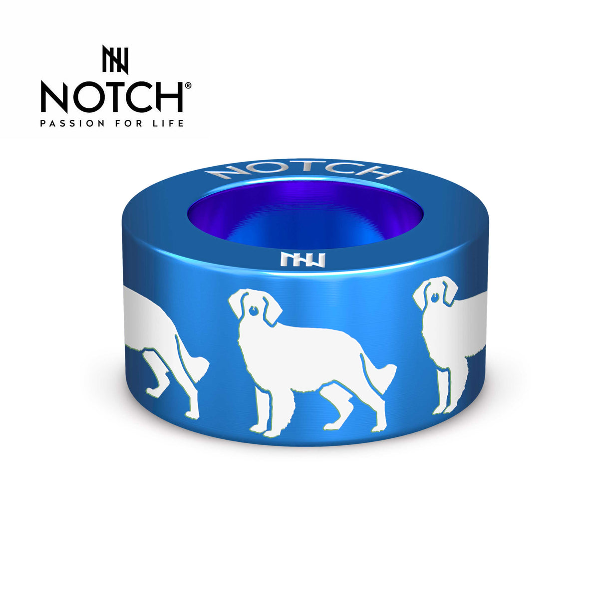 Brittany (spaniel) NOTCH Charm