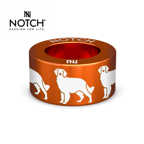 Brittany (spaniel) NOTCH Charm