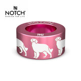 Brittany (spaniel) NOTCH Charm
