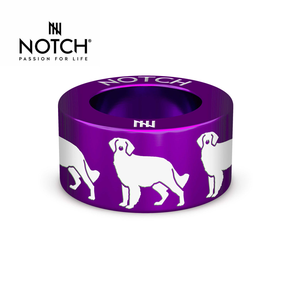 Brittany (spaniel) NOTCH Charm
