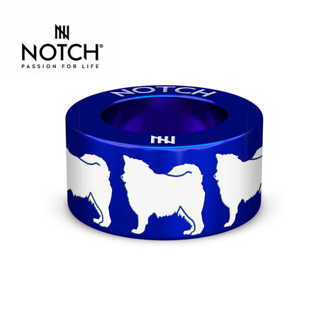 Finnish Lapphund NOTCH Charm