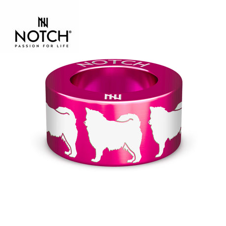 Finnish Lapphund NOTCH Charm