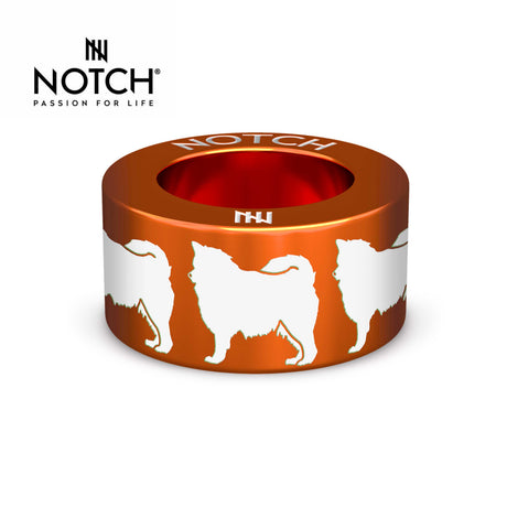 Finnish Lapphund NOTCH Charm