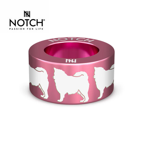 Finnish Lapphund NOTCH Charm