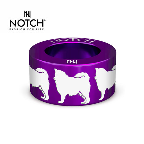 Finnish Lapphund NOTCH Charm