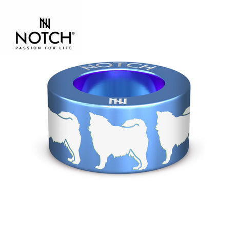 Finnish Lapphund NOTCH Charm