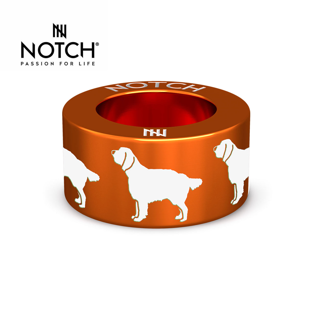 Springer Spaniel (English) NOTCH Charm
