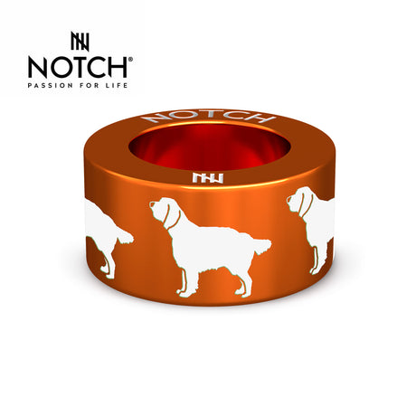 Springer Spaniel (English) NOTCH Charm