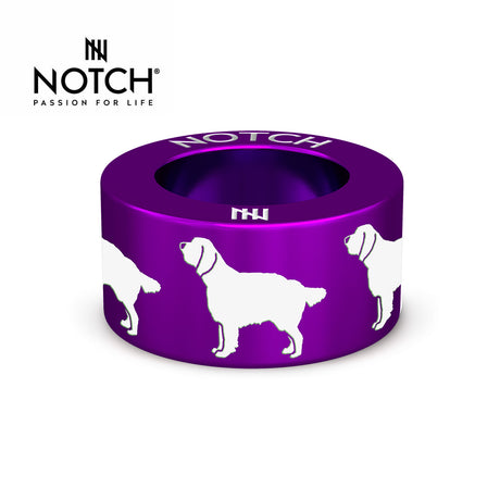 Springer Spaniel (English) NOTCH Charm