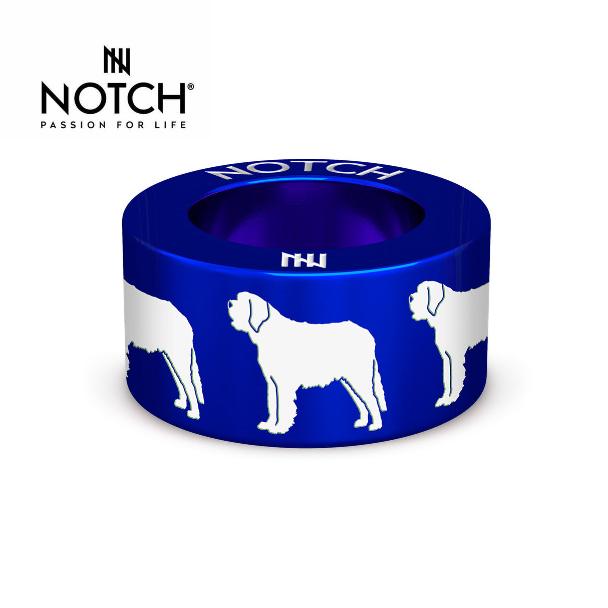 St Bernard NOTCH Charm