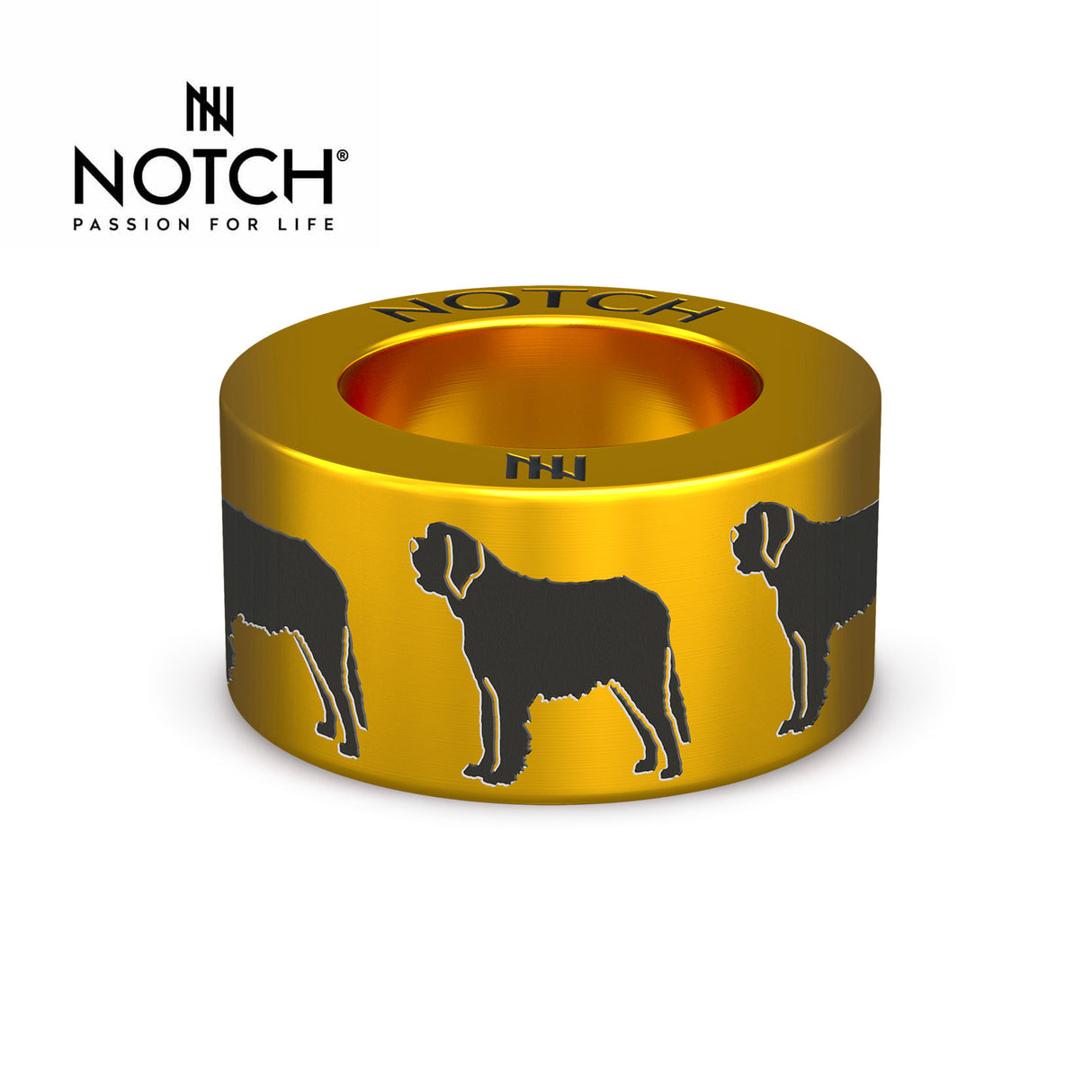 St Bernard NOTCH Charm