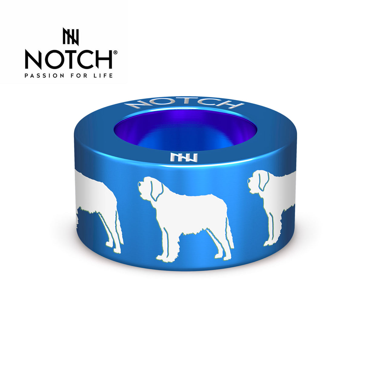 St Bernard NOTCH Charm
