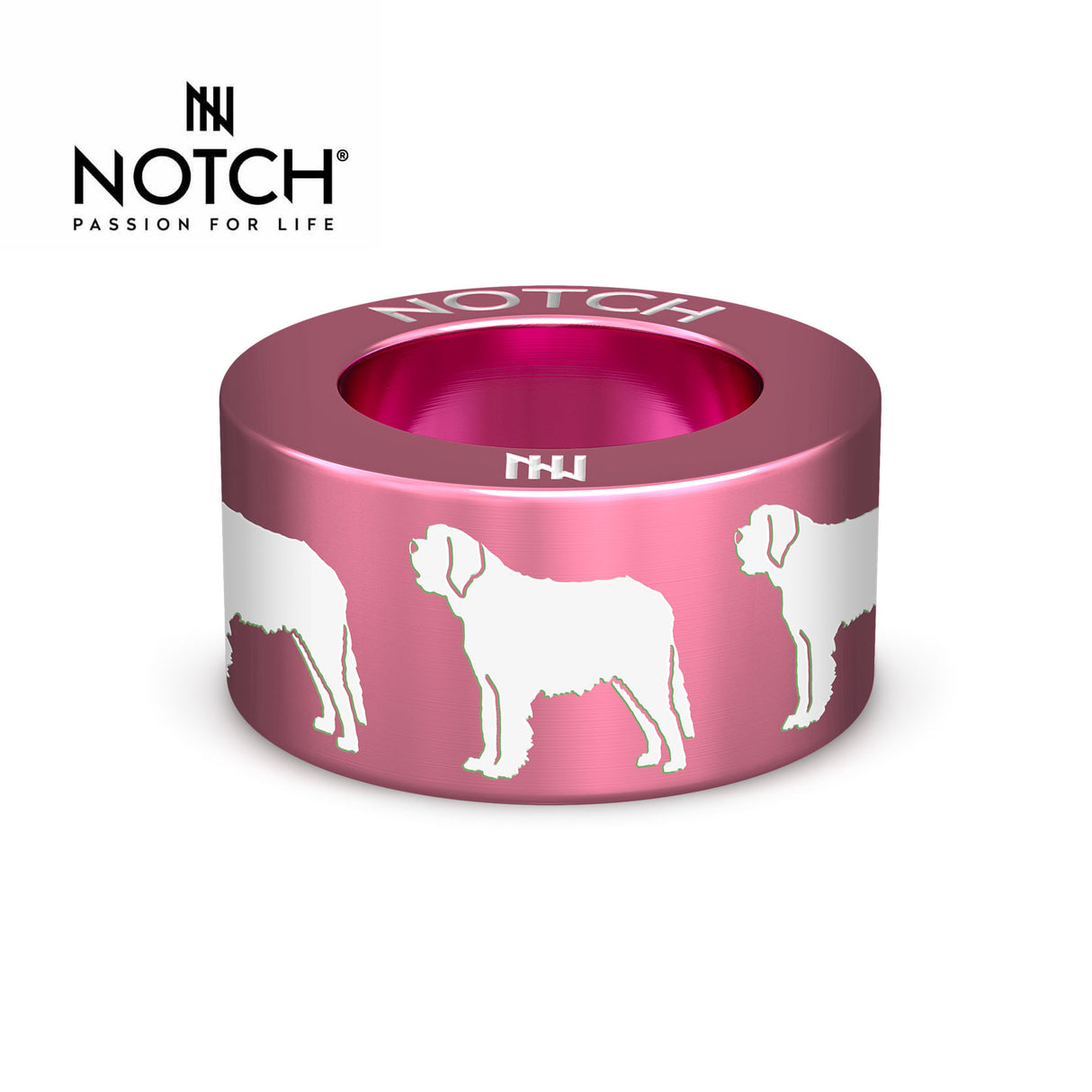 St Bernard NOTCH Charm
