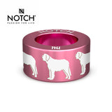St Bernard NOTCH Charm