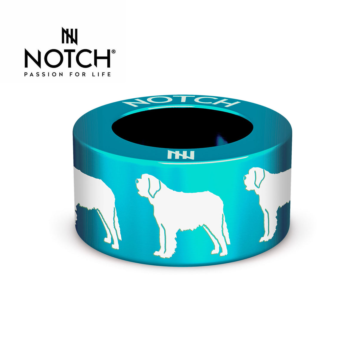 St Bernard NOTCH Charm