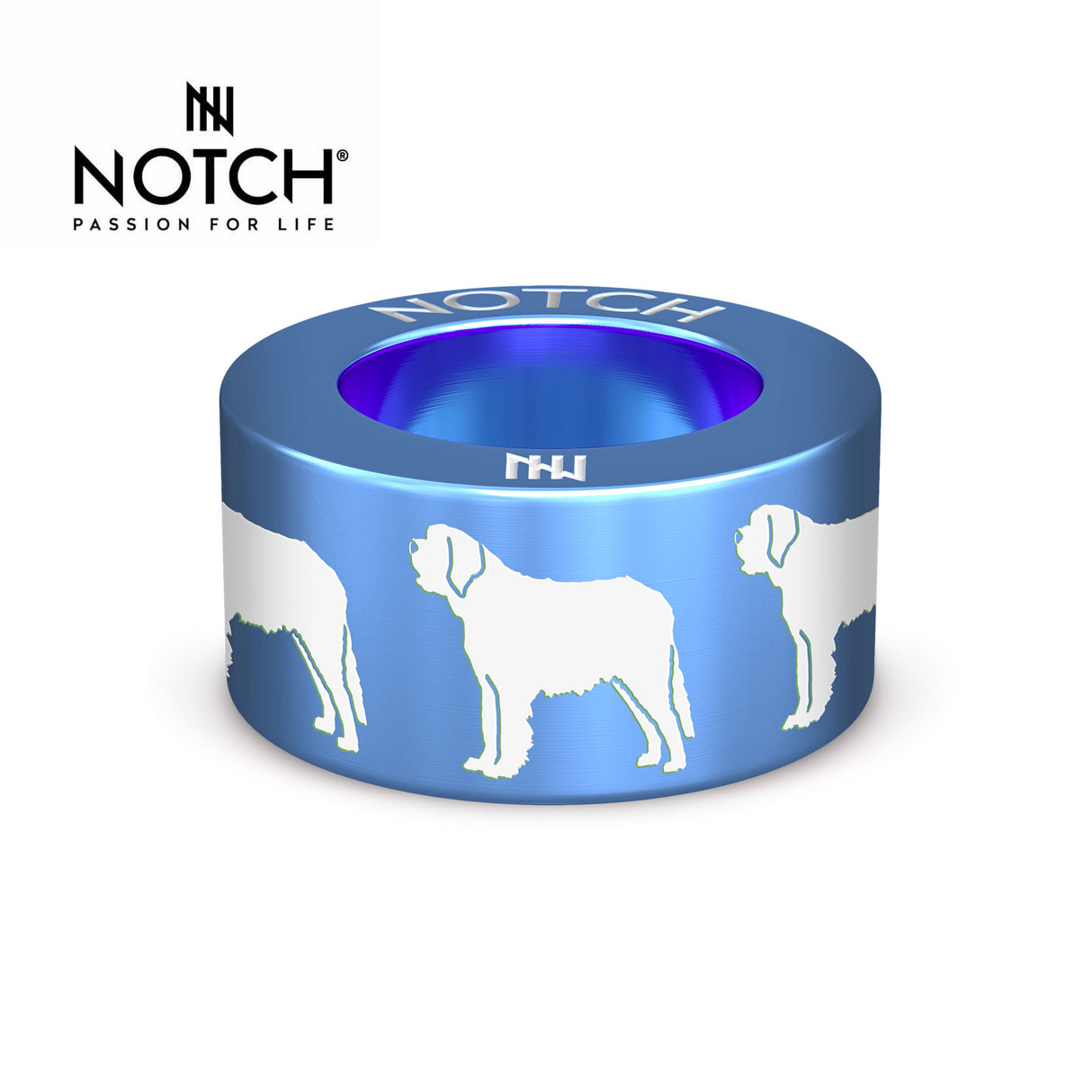 St Bernard NOTCH Charm