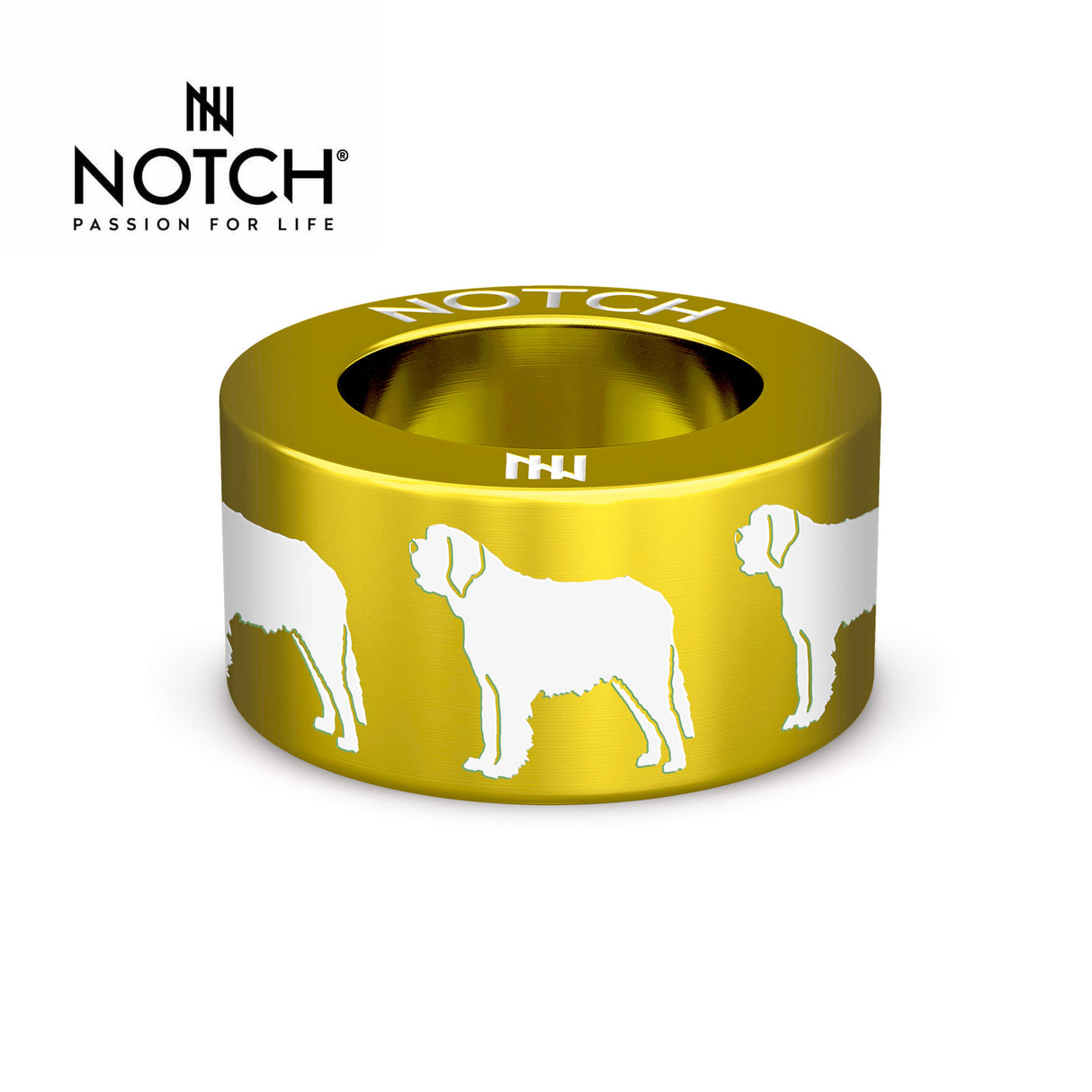 St Bernard NOTCH Charm