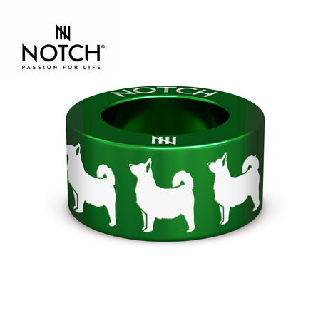 Swedish Vallhund NOTCH Charm