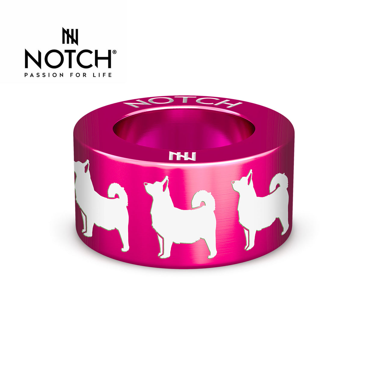 Swedish Vallhund NOTCH Charm