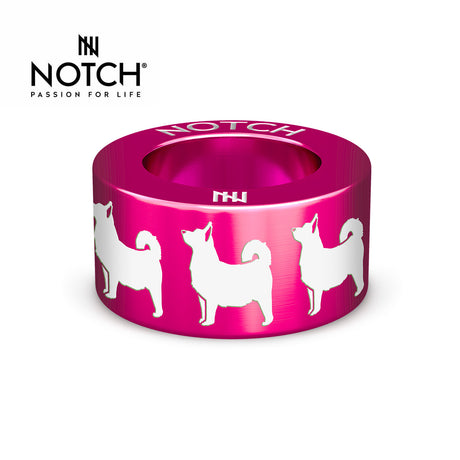 Swedish Vallhund NOTCH Charm