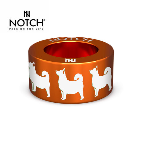 Swedish Vallhund NOTCH Charm
