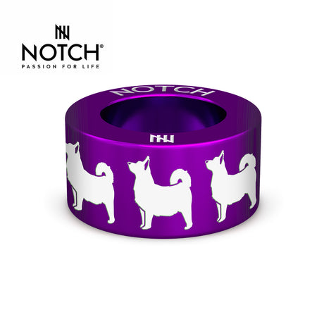 Swedish Vallhund NOTCH Charm