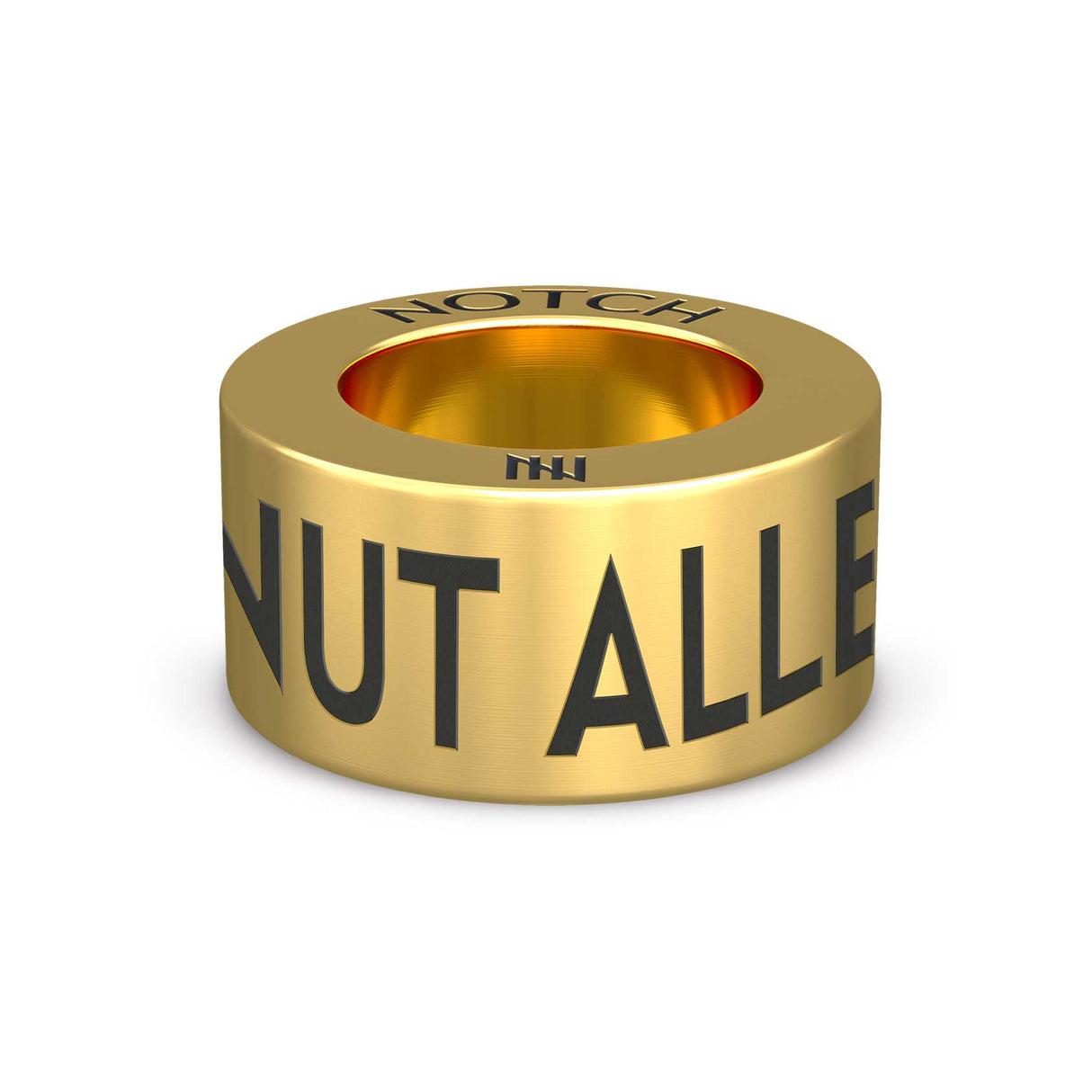 Nut Allergy Medical ID NOTCH Charm