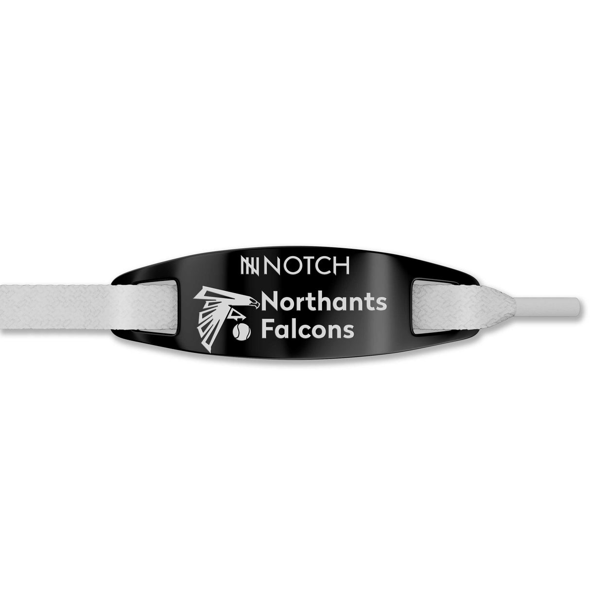 Northants Falcons Flyball Team