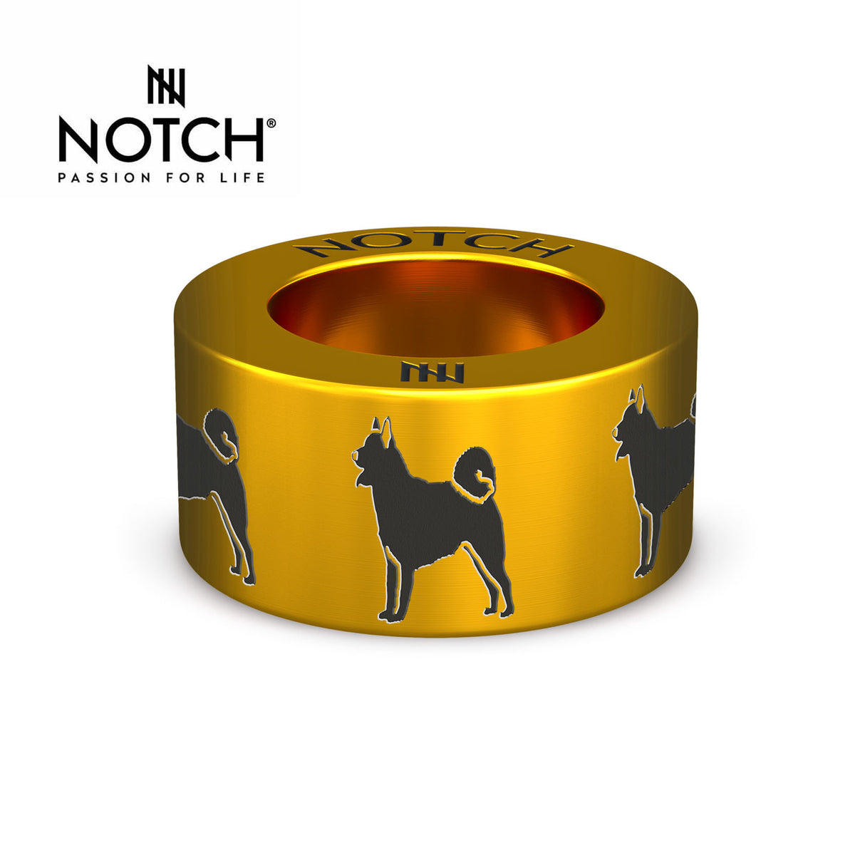Norwegian Buhund NOTCH Charm