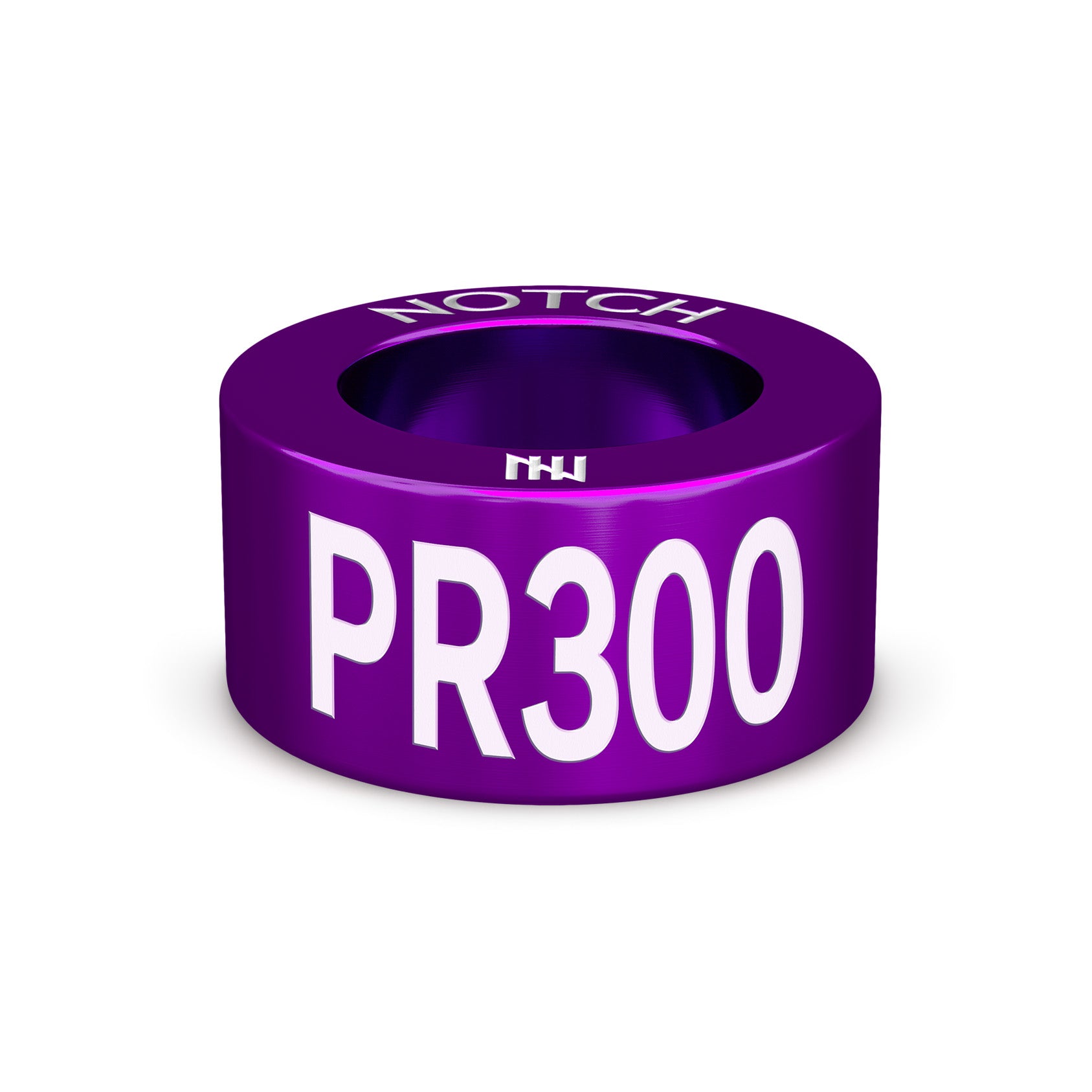 PR300 Milestone NOTCH Charm